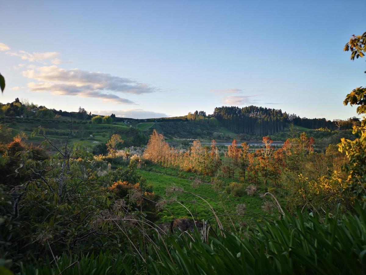 River Side Lodge Whakamarama Exteriér fotografie