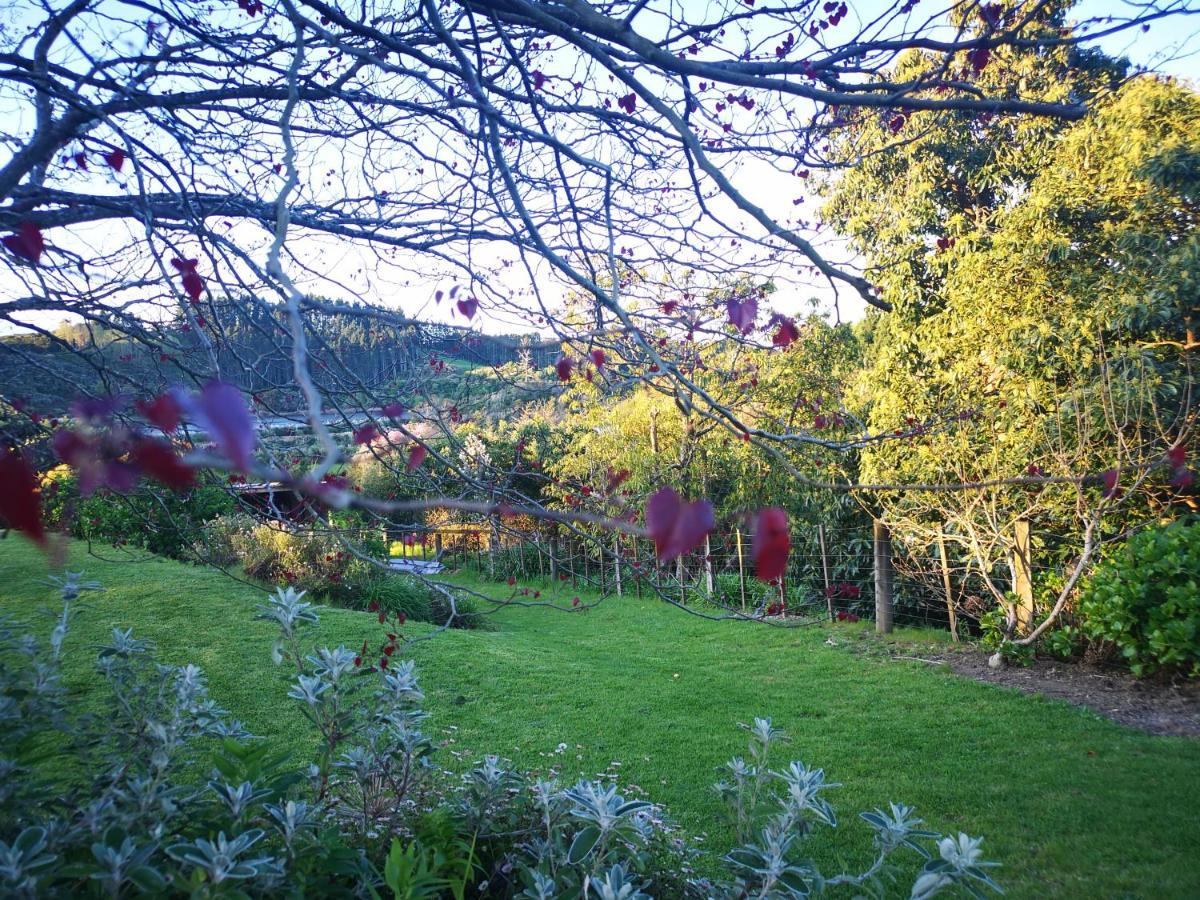 River Side Lodge Whakamarama Exteriér fotografie